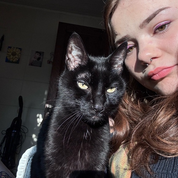 Meet your Posher, Isabel - Picture 3 of 4